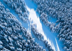 Ski staze Kopaonik pod snegom slika odozgo